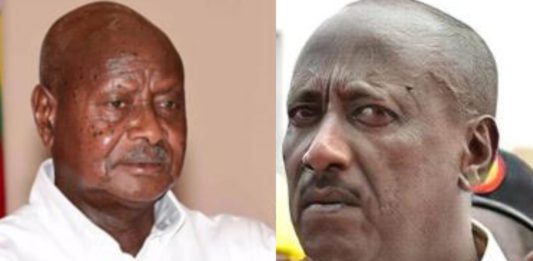 President Yoweri Museveni and his brother Salim Saleh, the head of Naads. Museveni has warned Naads against fake imported seeds.