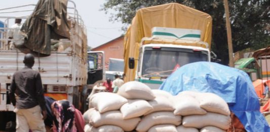 Maize being loaded on trucks. Kenya has lifted ban on Uganda maize imports with tough conditions and terms.
