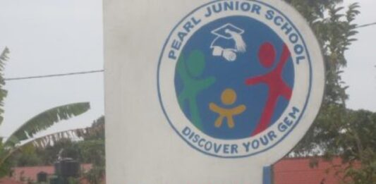 Pearl Junior School Bushenyi Shines in PLE 2024 FULL LIST: Best, Worst Bushenyi Municipality Schools in PLE 2023 PLE 2022: Uganda's Best Performing Primary Schools Named