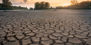 ‘Global Warming is Real and the Window to Mitigate its Worst Effects is Small’
